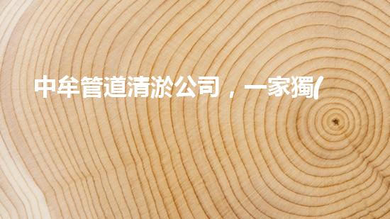 中牟管道清淤公司，一家獨(dú)具匠心的行業(yè)領(lǐng)導(dǎo)者！